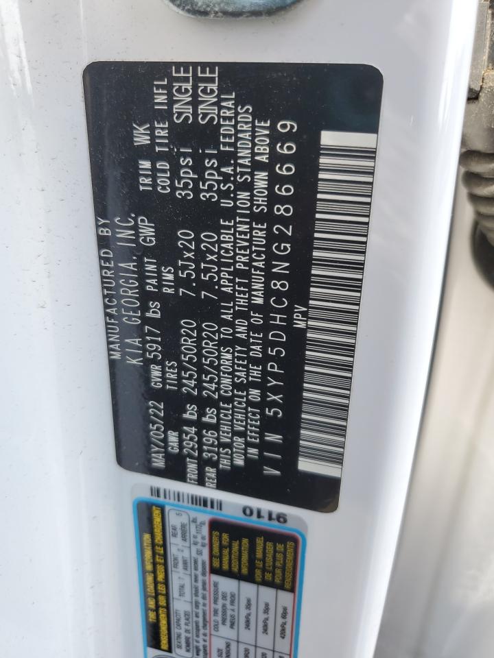 2022 Kia Telluride Sx VIN: 5XYP5DHC8NG286669 Lot: 81640705