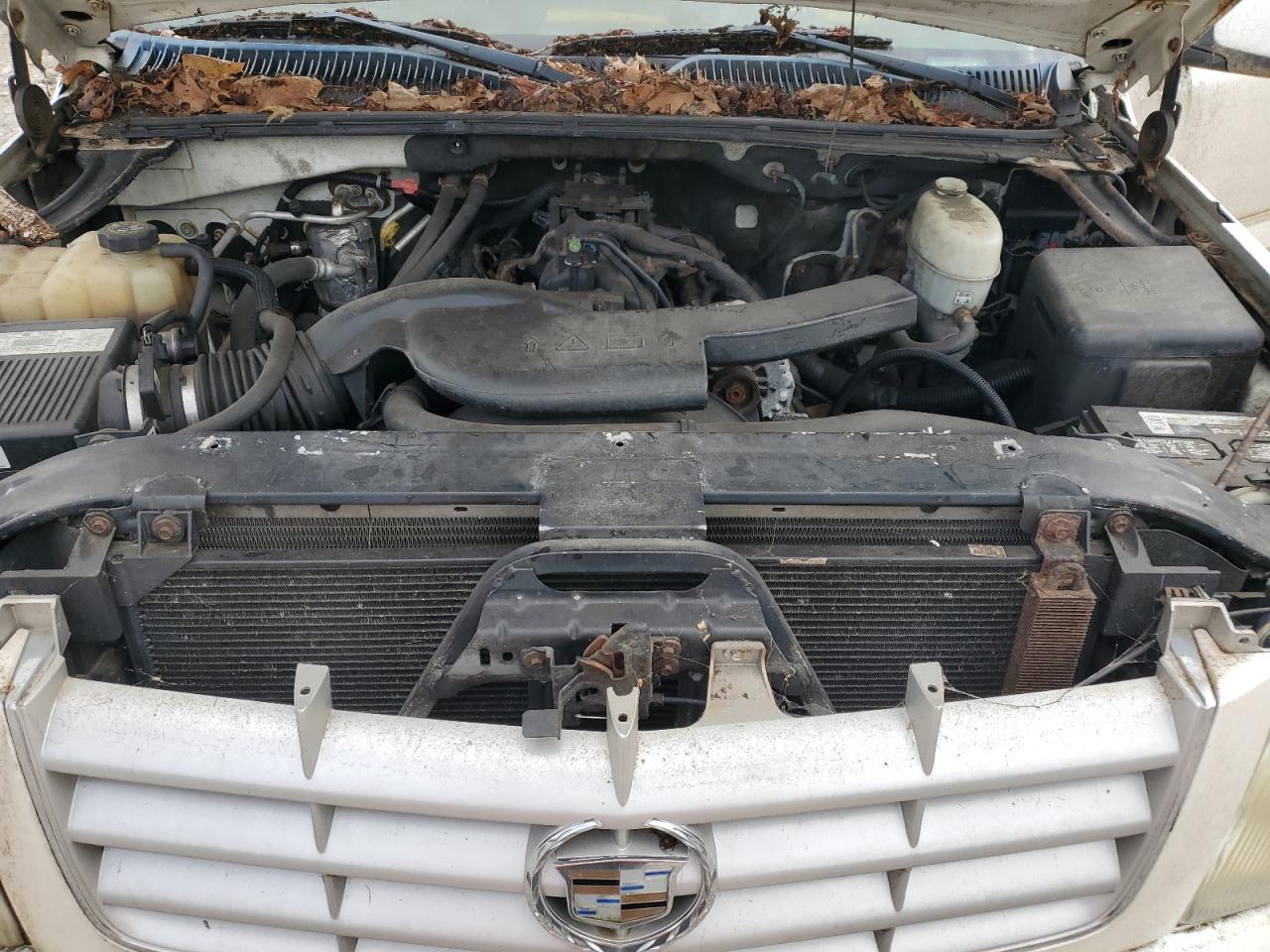 2003 Cadillac Escalade Luxury VIN: 1GYEK63N03R185865 Lot: 71529875