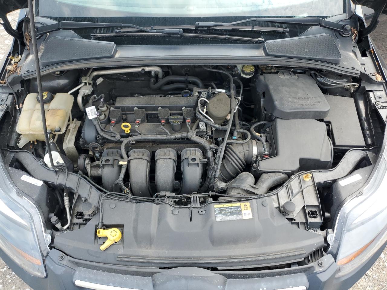 2014 Ford Focus Se VIN: 1FADP3K20EL206640 Lot: 81325025