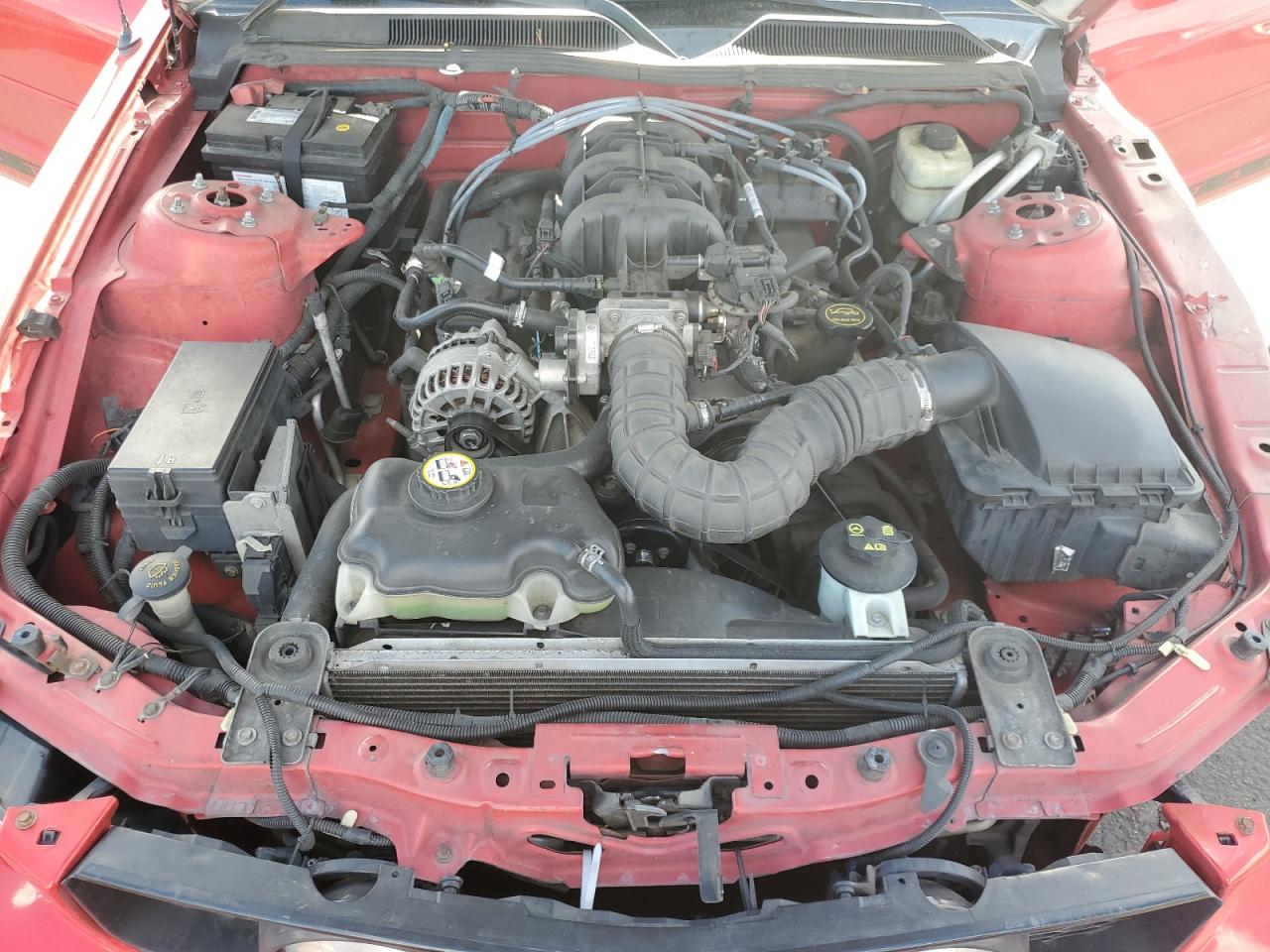 2006 Ford Mustang VIN: 1ZVFT84N565252096 Lot: 84902415