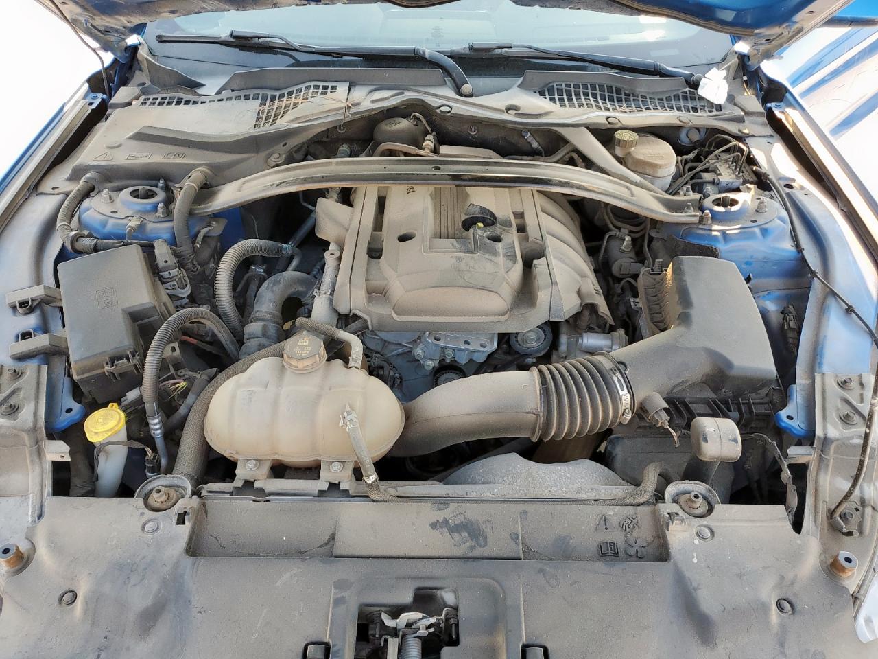 2019 Ford Mustang VIN: 1FA6P8TH6K5152821 Lot: 81040745