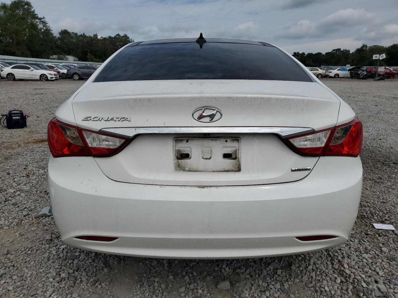 2013 Hyundai Sonata Se VIN: 5NPEC4AC5DH541020 Lot: 81217995