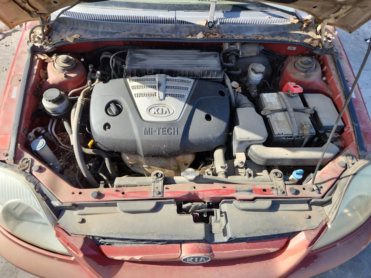 2003 Kia Rio Cinco VIN: KNADC165736144063 Lot: 84217025