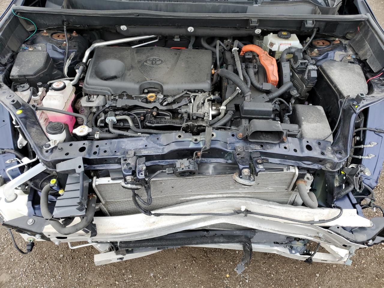 2020 Toyota Rav4 Limited VIN: 2T3DWRFV2LW095166 Lot: 81488915