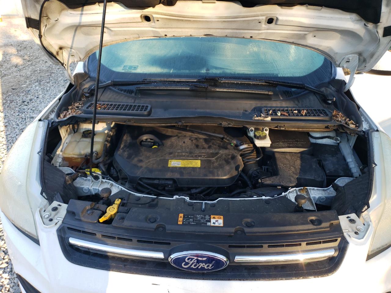 2014 Ford Escape Se VIN: 1FMCU0GX0EUA75250 Lot: 81900905