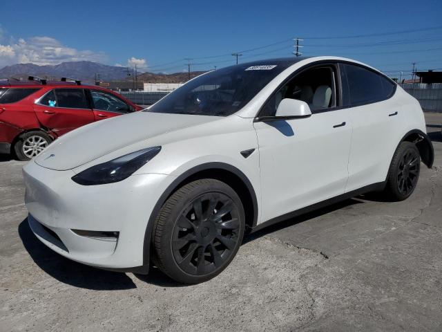  TESLA MODEL Y 2024 White