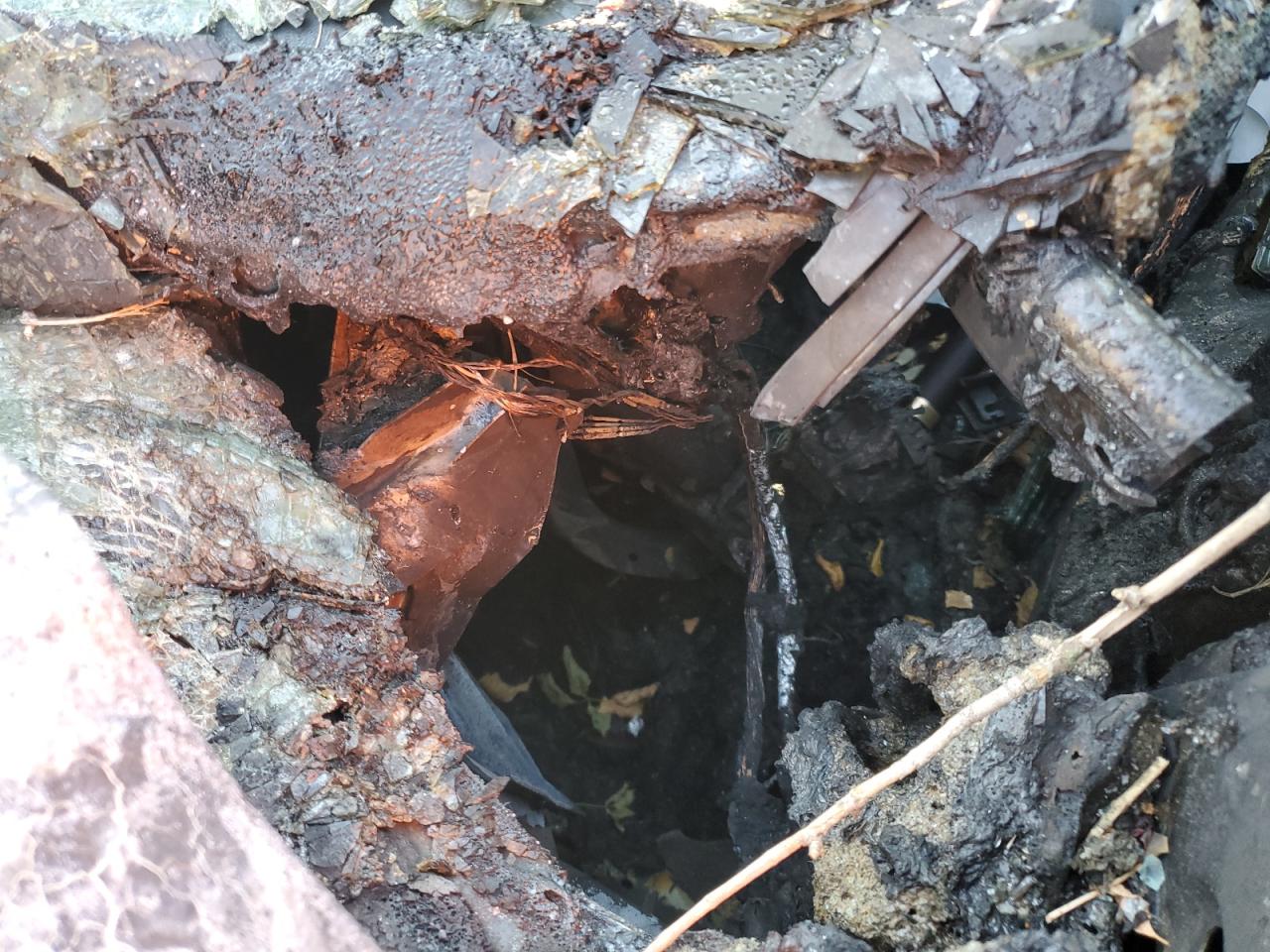 2025 Tesla Model Y VIN: 7SAYGDEE4SF289613 Lot: 81263555