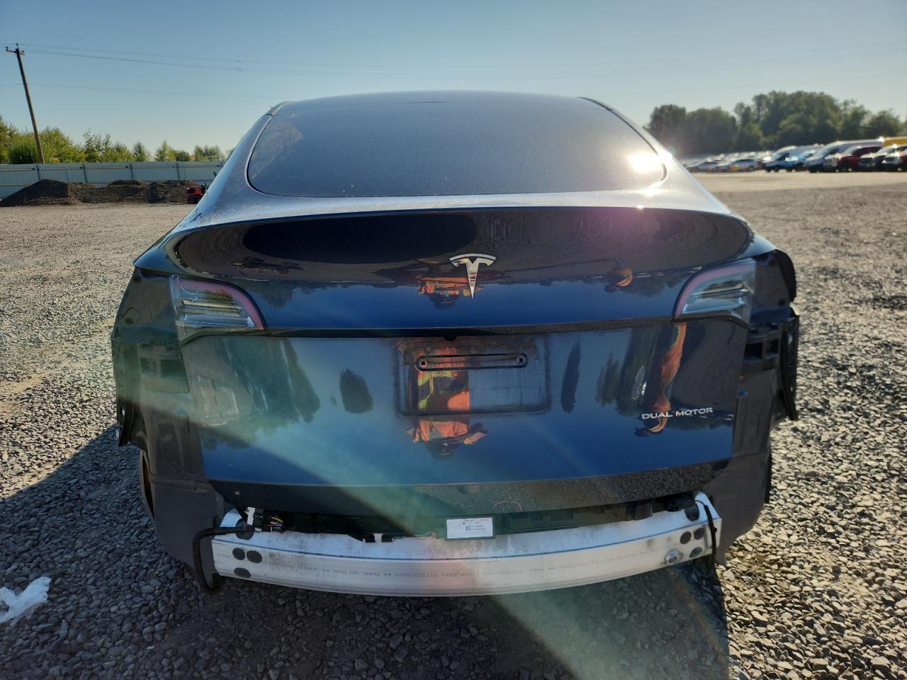 2023 Tesla Model Y VIN: 7SAYGDEE4PA100737 Lot: 80720965