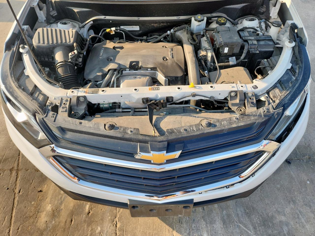 2018 Chevrolet Equinox Lt VIN: 3GNAXKEX9JS505604 Lot: 81411785