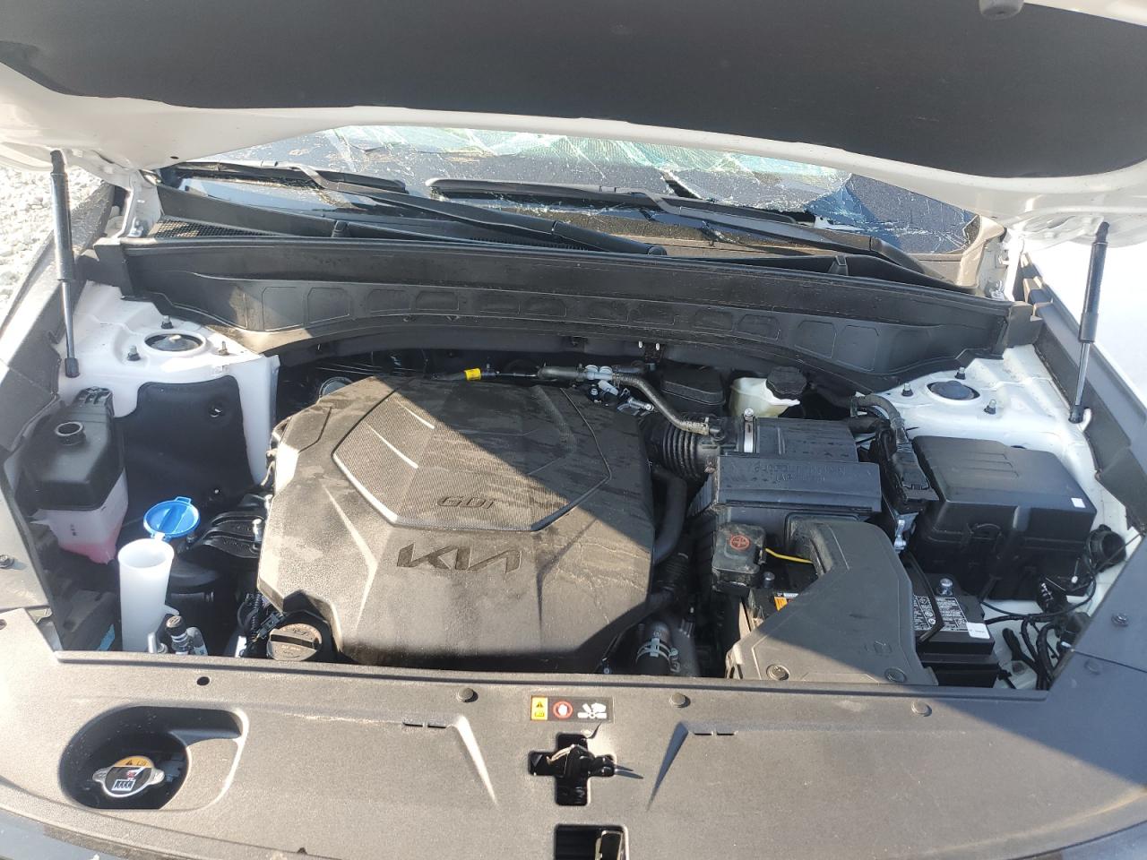 2025 Kia Telluride Sx VIN: 5XYP5DGCXSG640446 Lot: 81039835