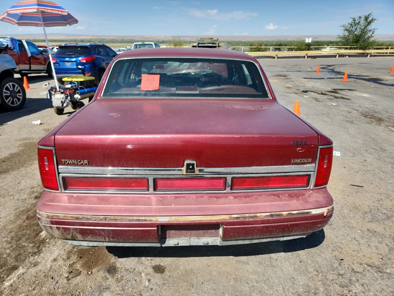 1997 Lincoln Town Car Executive VIN: 1LNLM81W3VY611485 Lot: 70223485