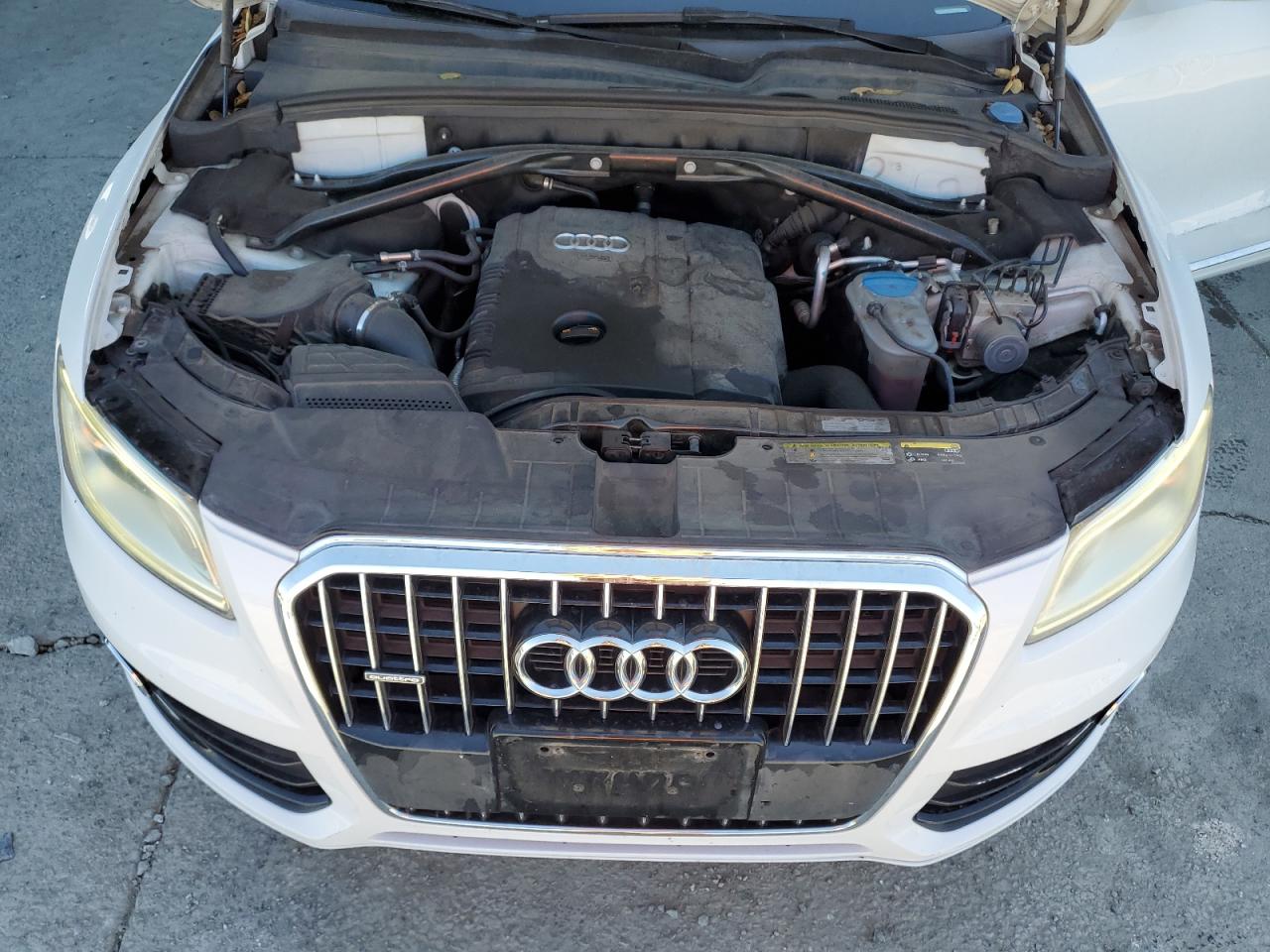 2013 Audi Q5 Premium VIN: WA1CFAFP9DA064411 Lot: 81336805