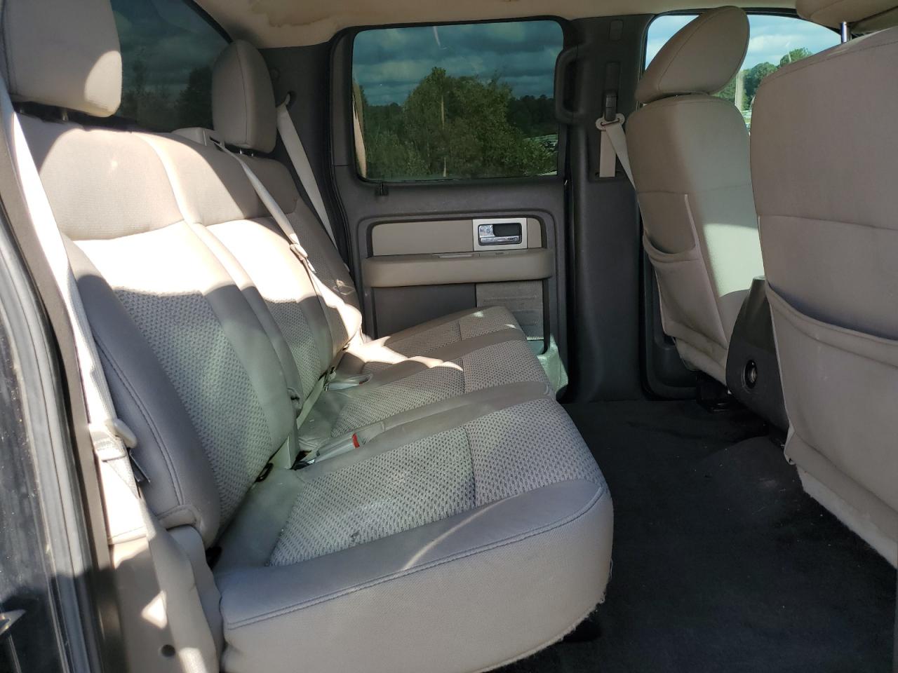 2010 Ford F150 Supercrew VIN: 1FTFW1EV6AFA56302 Lot: 81510585