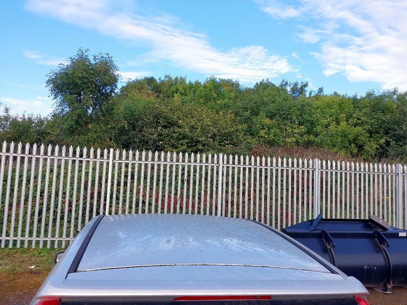 2005 FORD FIESTA FLAME 