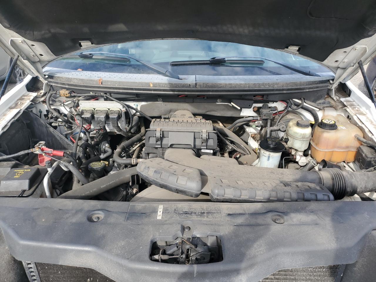 2005 Ford F150 VIN: 1FTPX14515NB92786 Lot: 81129865