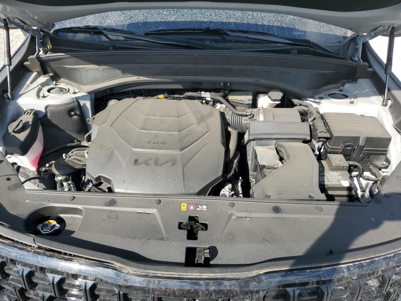 2024 Kia Telluride Ex VIN: 5XYP3DGC3RG494116 Lot: 71549095