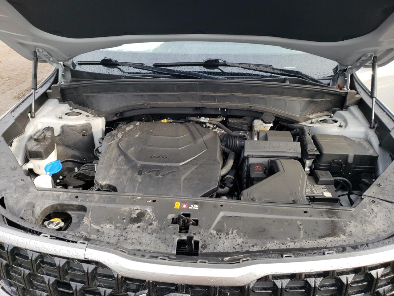 2023 Kia Telluride Ex VIN: 5XYP3DGC0PG401582 Lot: 83871985