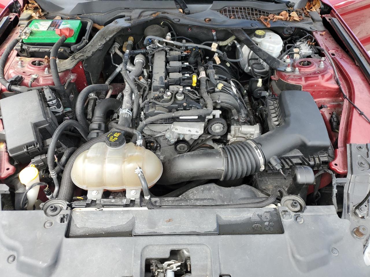 2019 Ford Mustang VIN: 1FATP8UH4K5149899 Lot: 80247045