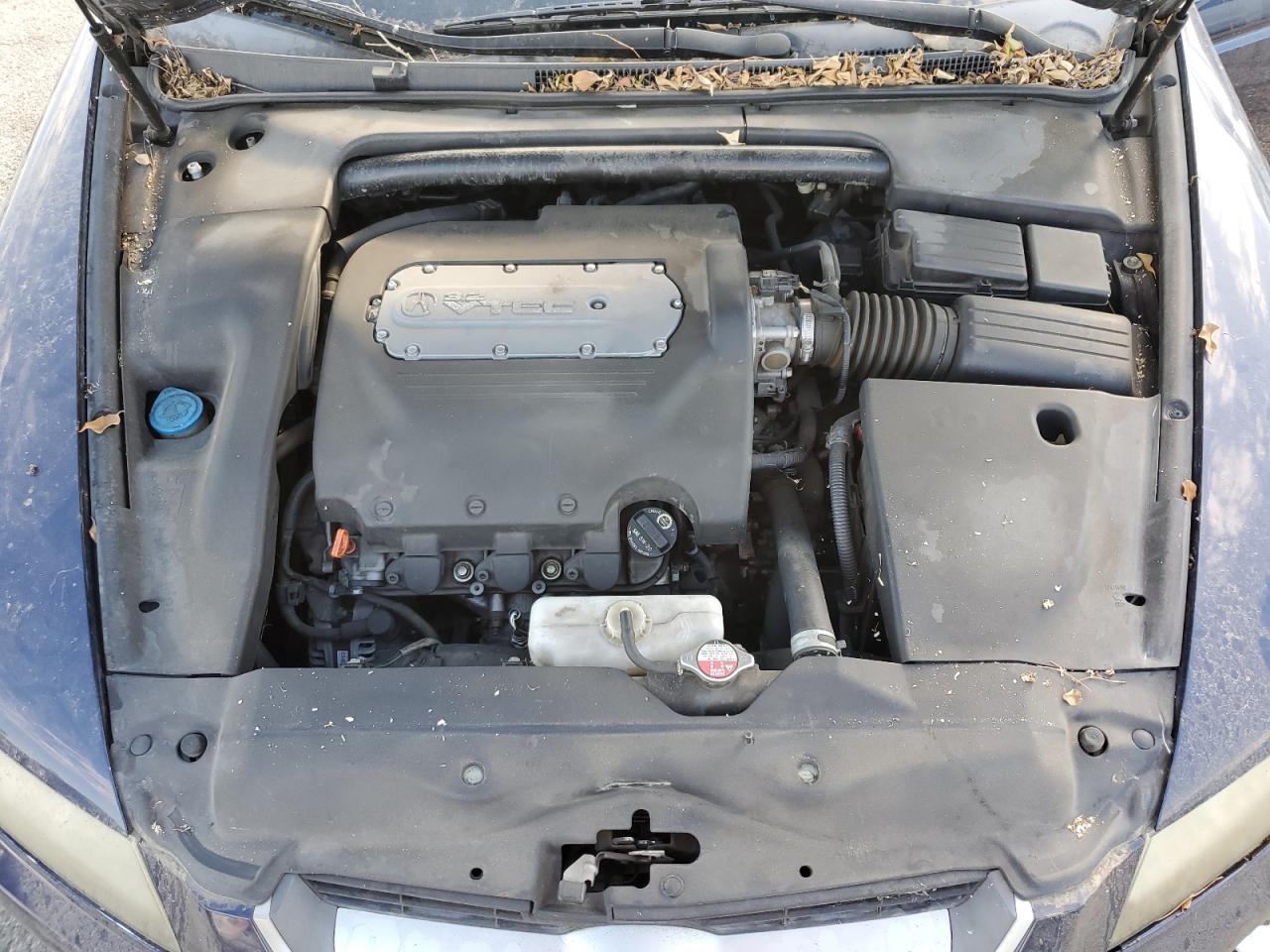 2006 Acura 3.2Tl VIN: 19UUA66296A026949 Lot: 81392985