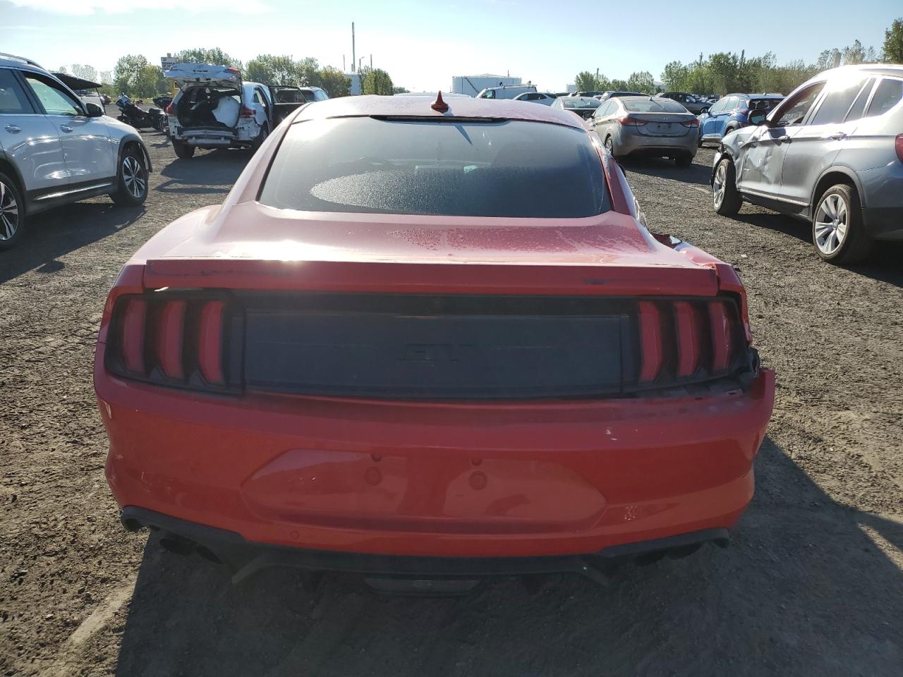 2020 Ford Mustang Gt VIN: 1FA6P8CF7L5151564 Lot: 80309865