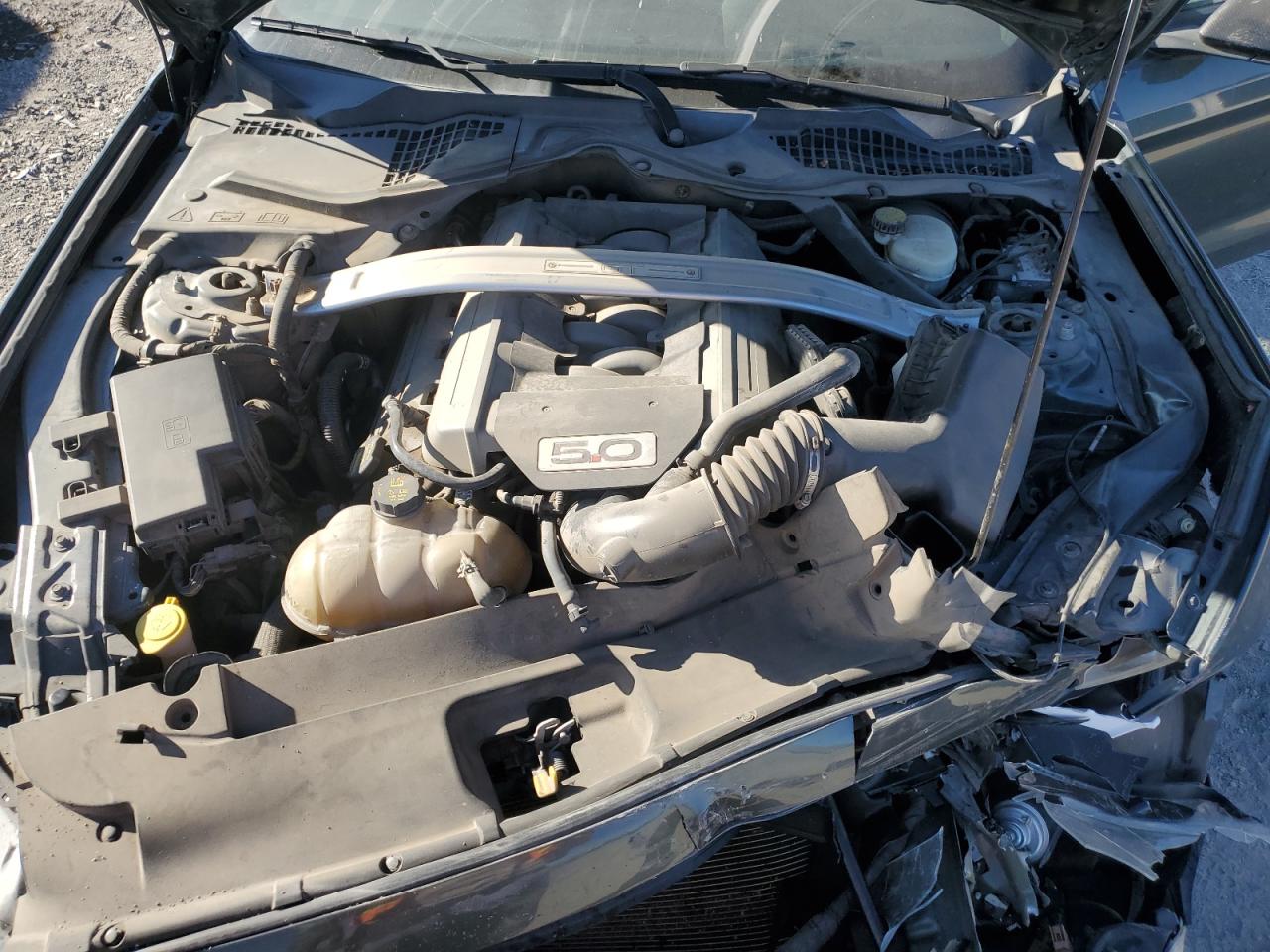 2015 Ford Mustang Gt VIN: 1FATP8FF8F5323541 Lot: 81134725