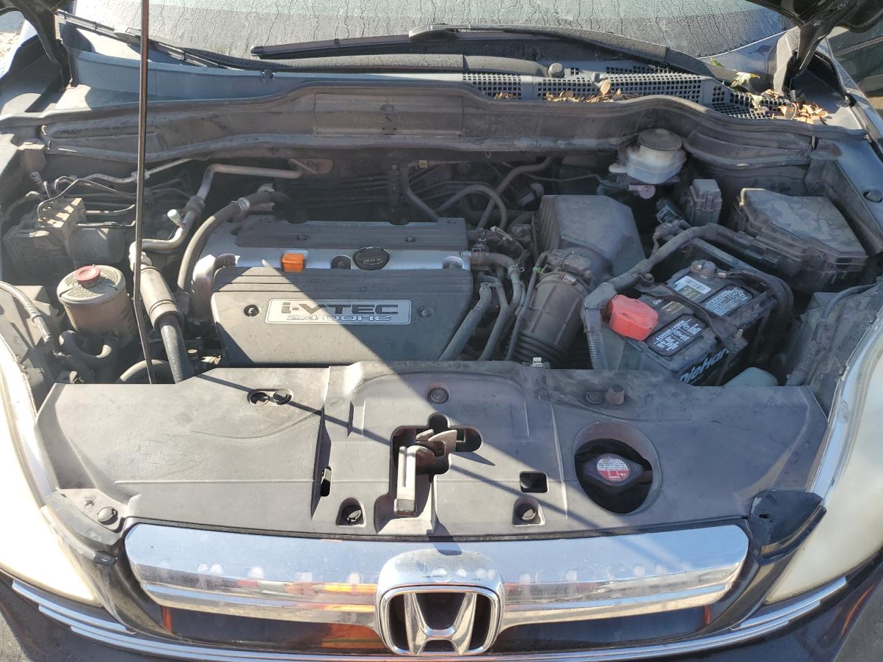 2008 Honda Cr-V Exl VIN: JHLRE48718C043731 Lot: 81693975