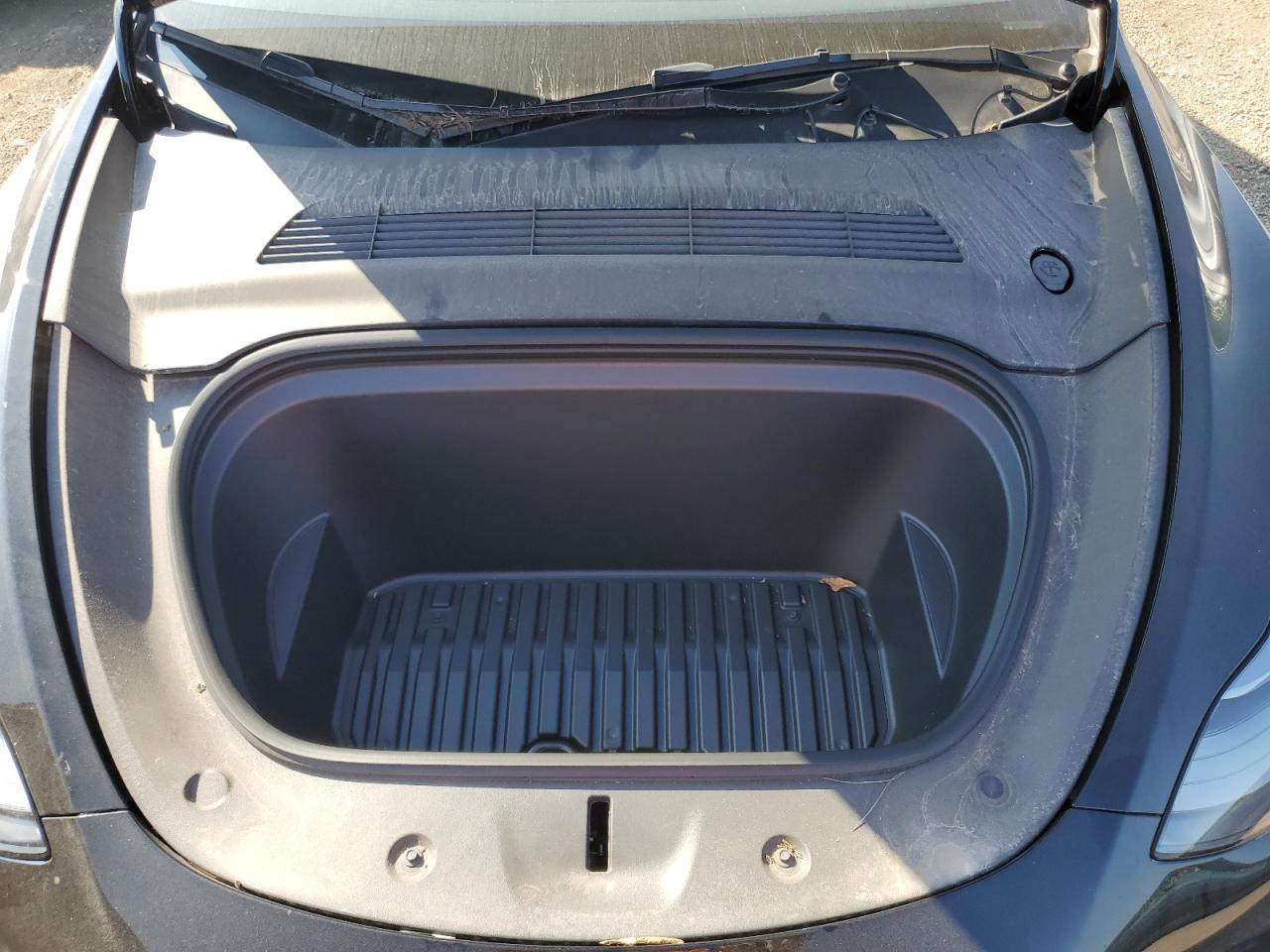 2023 Tesla Model Y VIN: 7SAYGDED5PF941881 Lot: 80494285