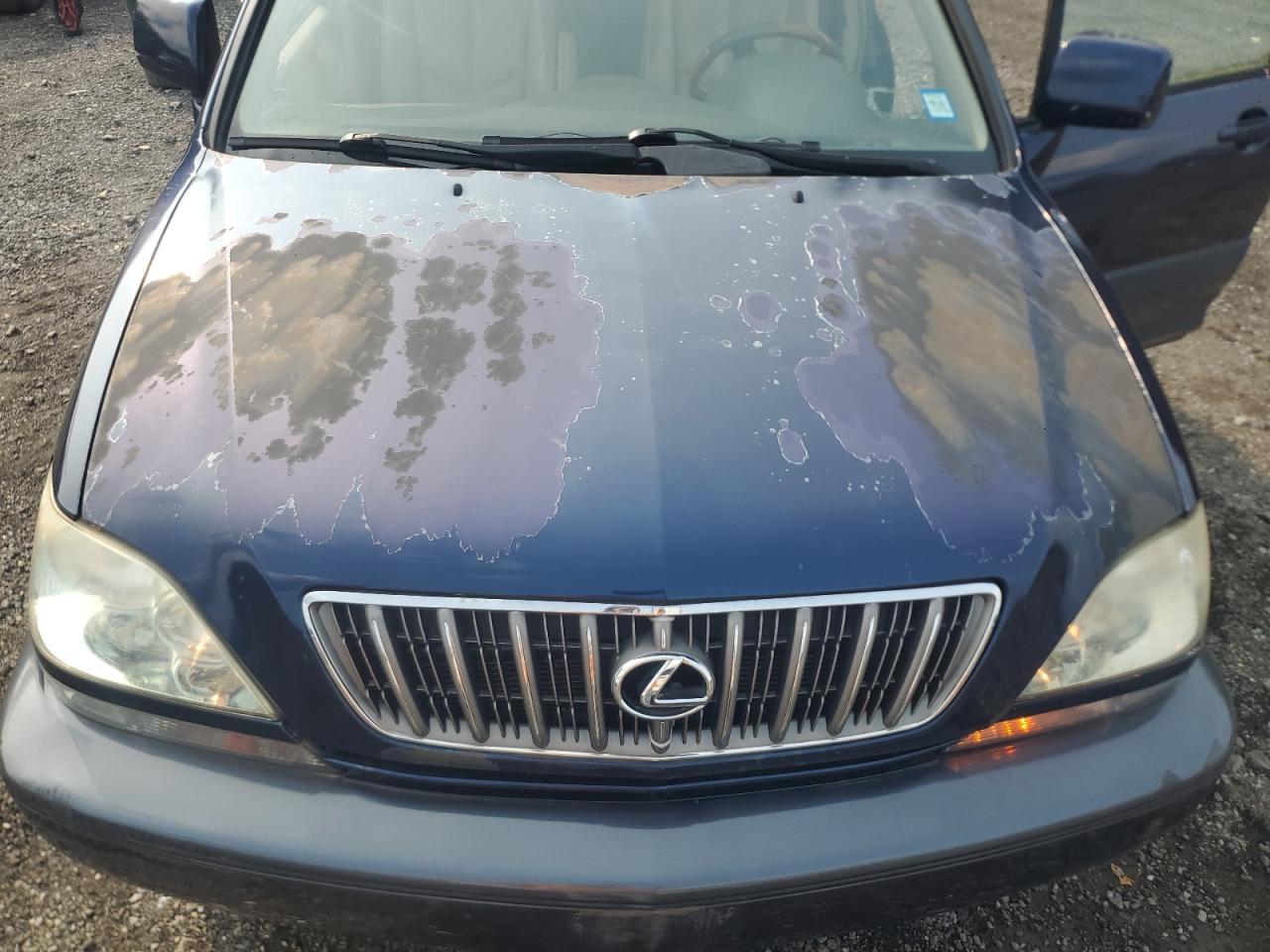 2001 Lexus Rx 300 VIN: JTJHF10U610208120 Lot: 71275495