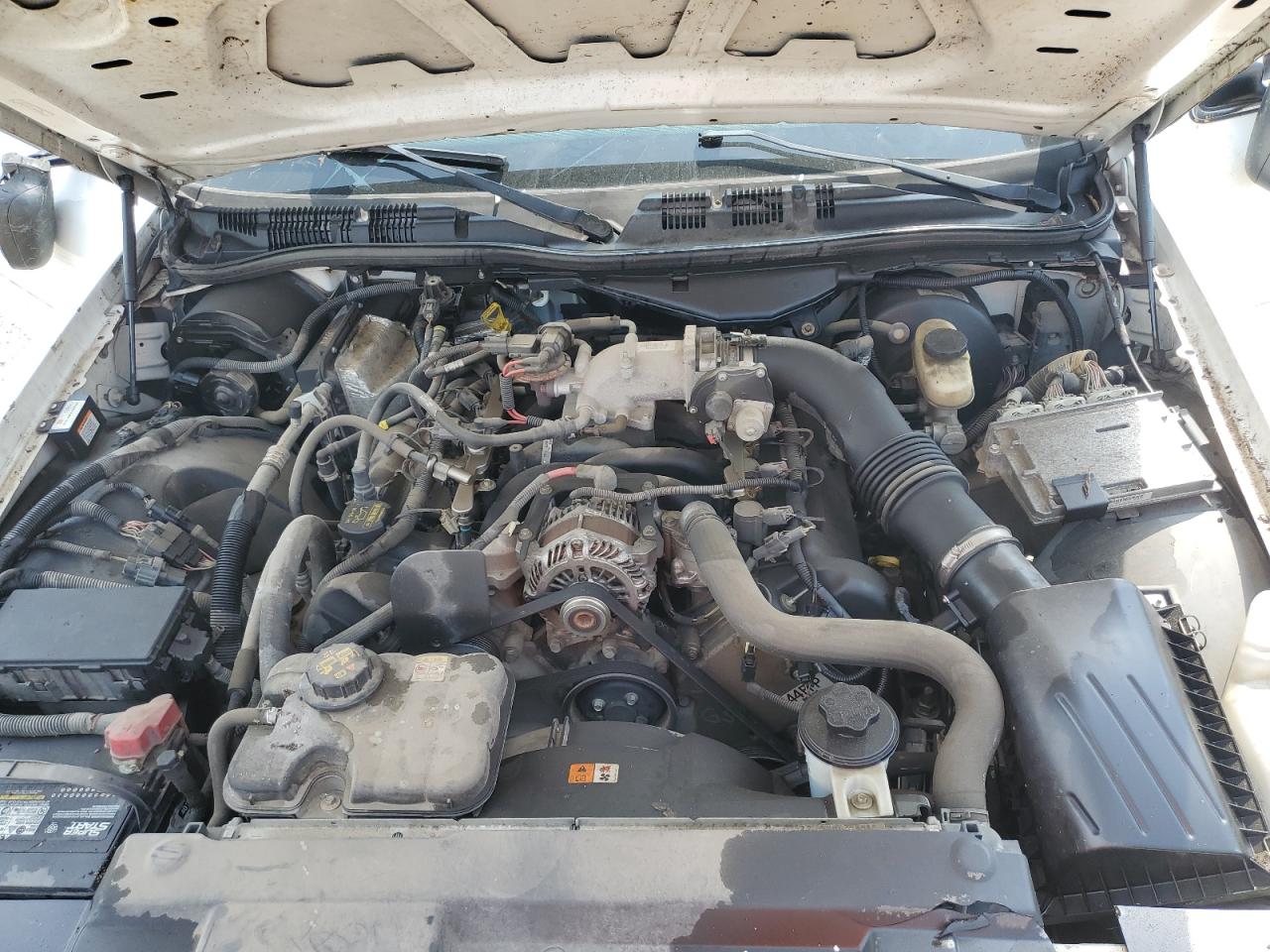 2009 Ford Crown Victoria Police Interceptor VIN: 2FAHP71V59X135593 Lot: 80792825