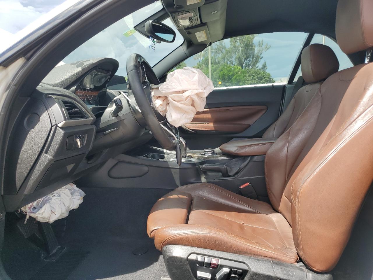 2016 BMW 228 I Sulev VIN: WBA1K9C56GV322159 Lot: 81630135