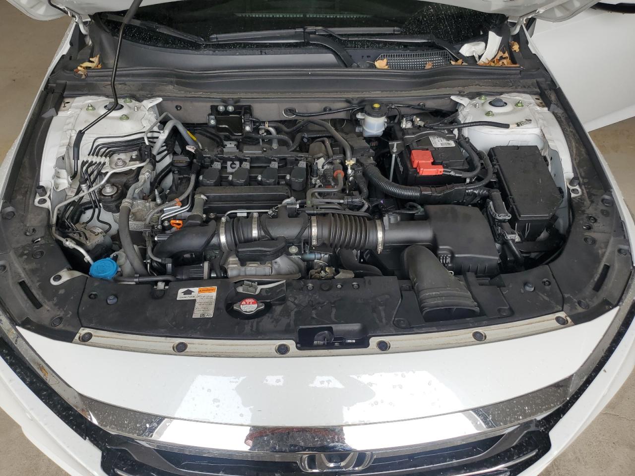 2021 Honda Accord Exl VIN: 1HGCV1F5XMA031362 Lot: 81580145
