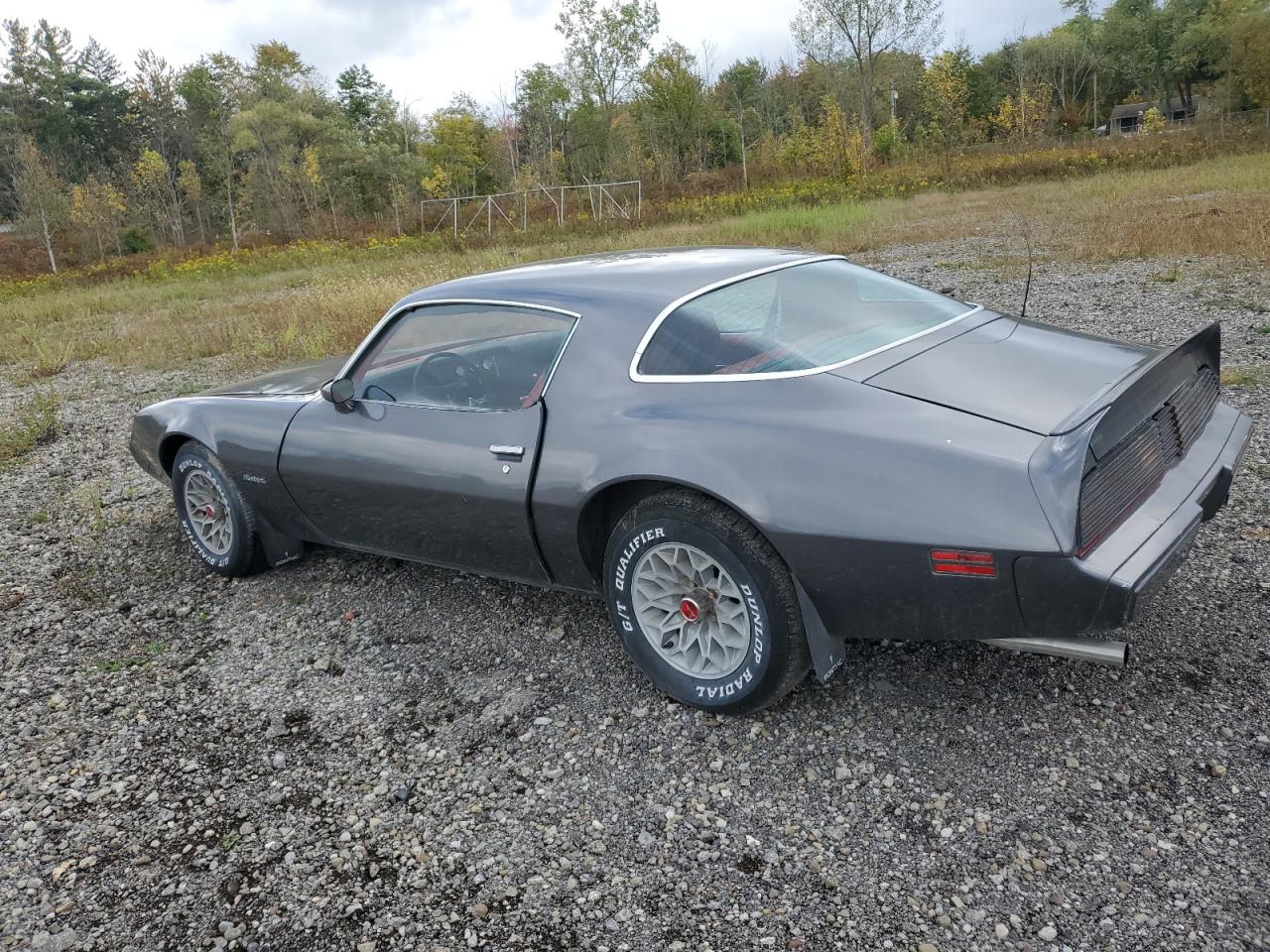 1981 Pontiac Firebird grey coupe gas 1G2AS87A4BN117926 photo #3