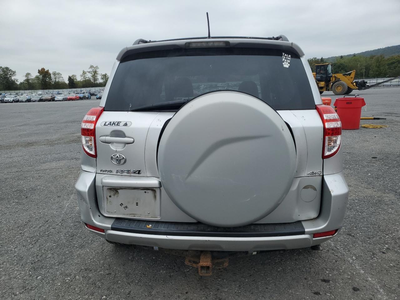 2010 Toyota Rav4 VIN: 2T3BF4DV1AW070916 Lot: 81365825