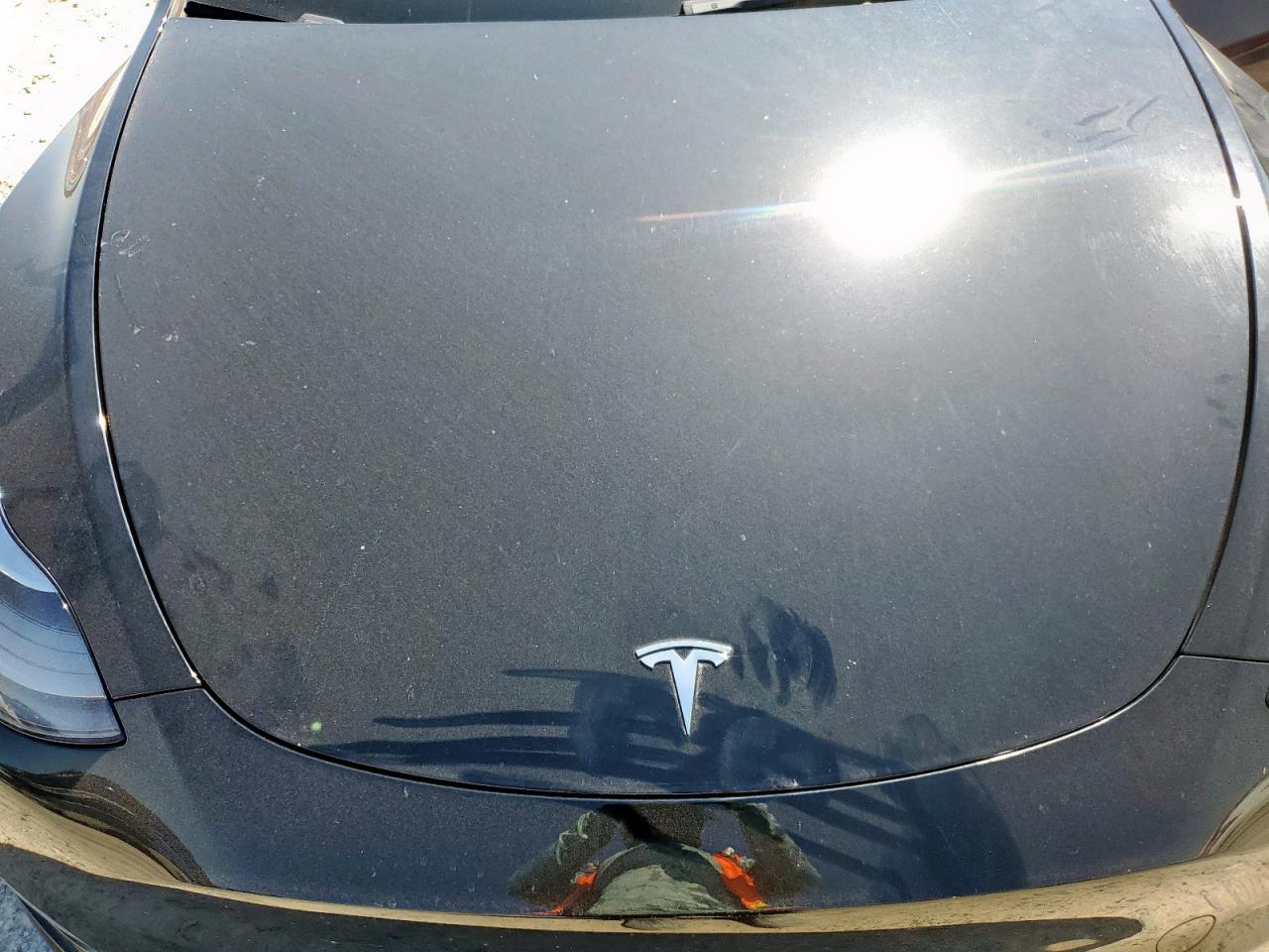 2023 Tesla Model Y VIN: 7SAYGDEE0PF631534 Lot: 71042685