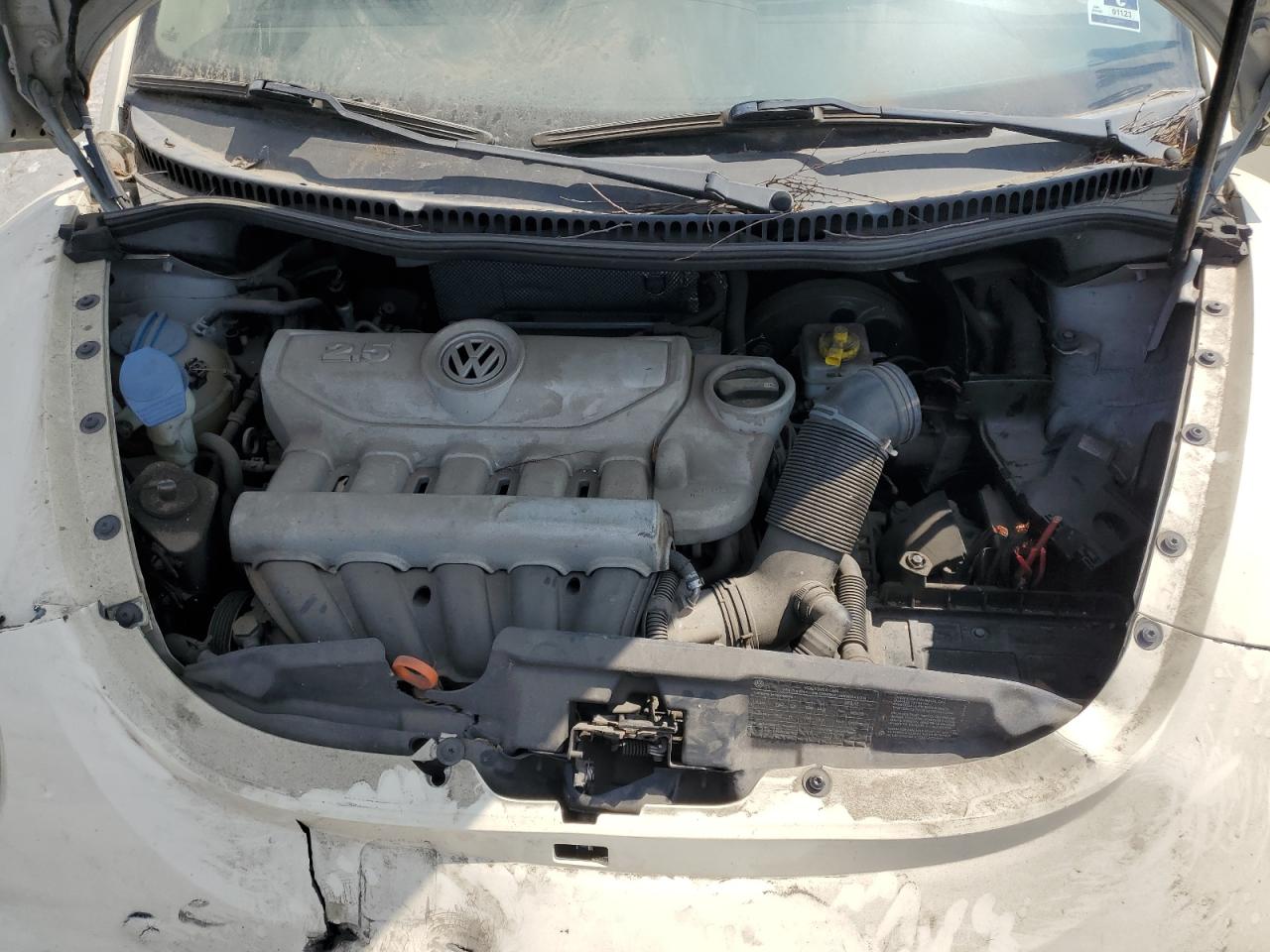 2009 Volkswagen New Beetle S VIN: 3VWRG31Y89M407712 Lot: 80337025