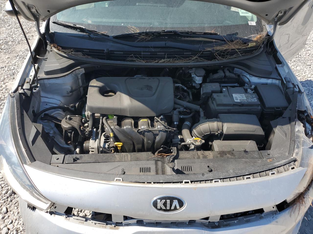 2019 Kia Rio S VIN: 3KPA24AB3KE171731 Lot: 80880455