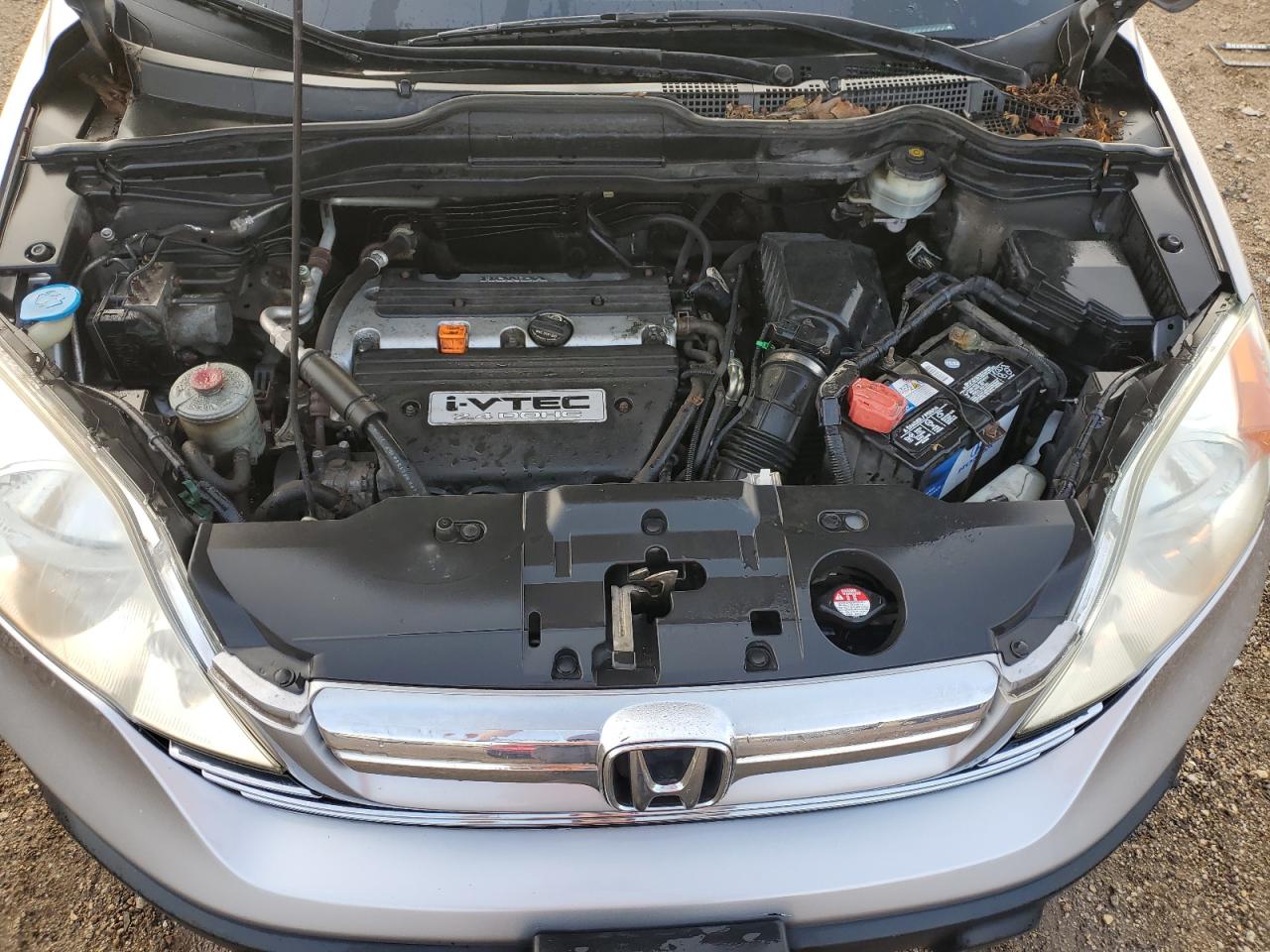 2007 Honda Cr-V Ex VIN: JHLRE48557C041302 Lot: 81279155