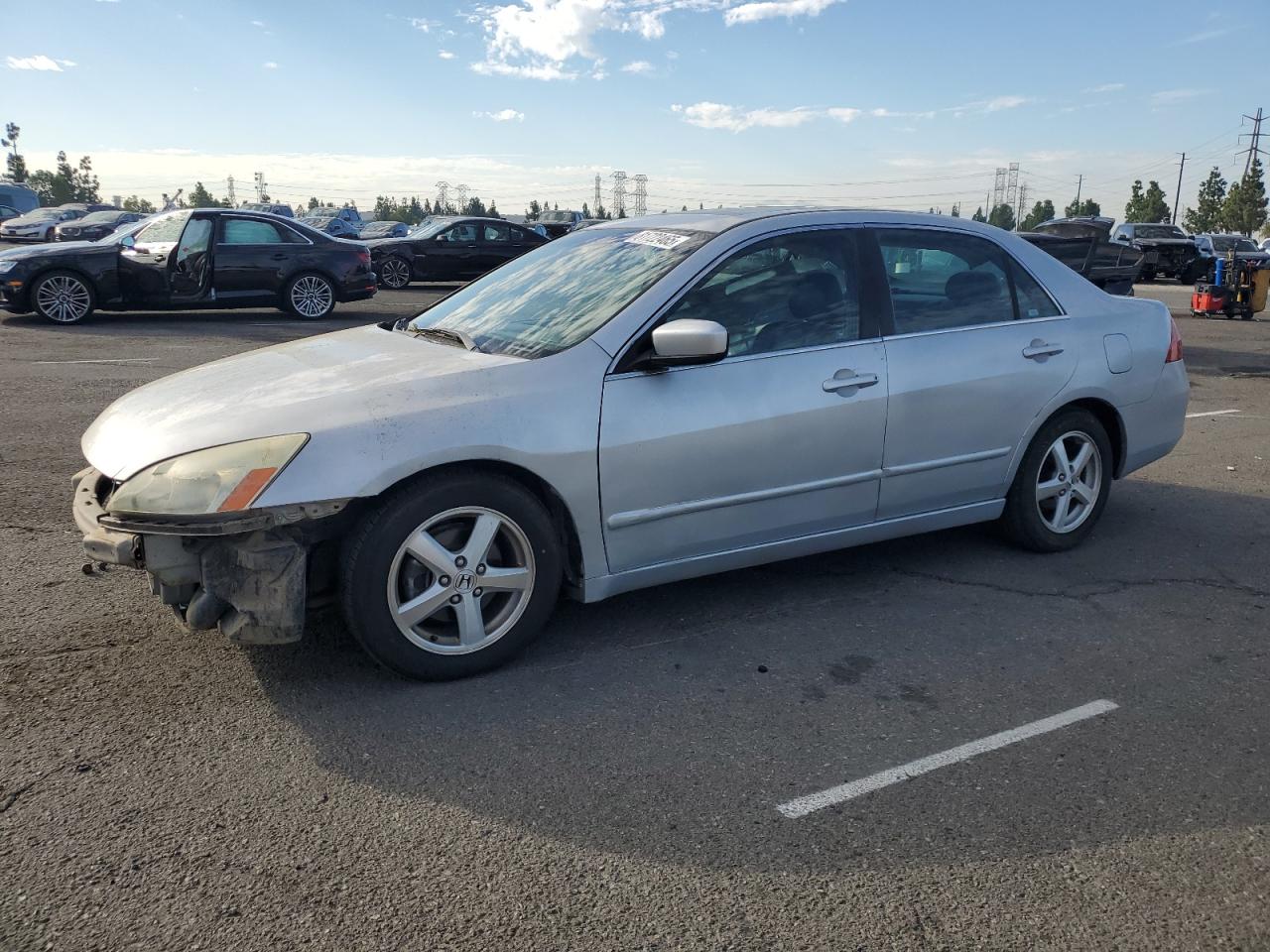 2006 Honda Accord Ex VIN: 1HGCM56836A011445 Lot: 81722465