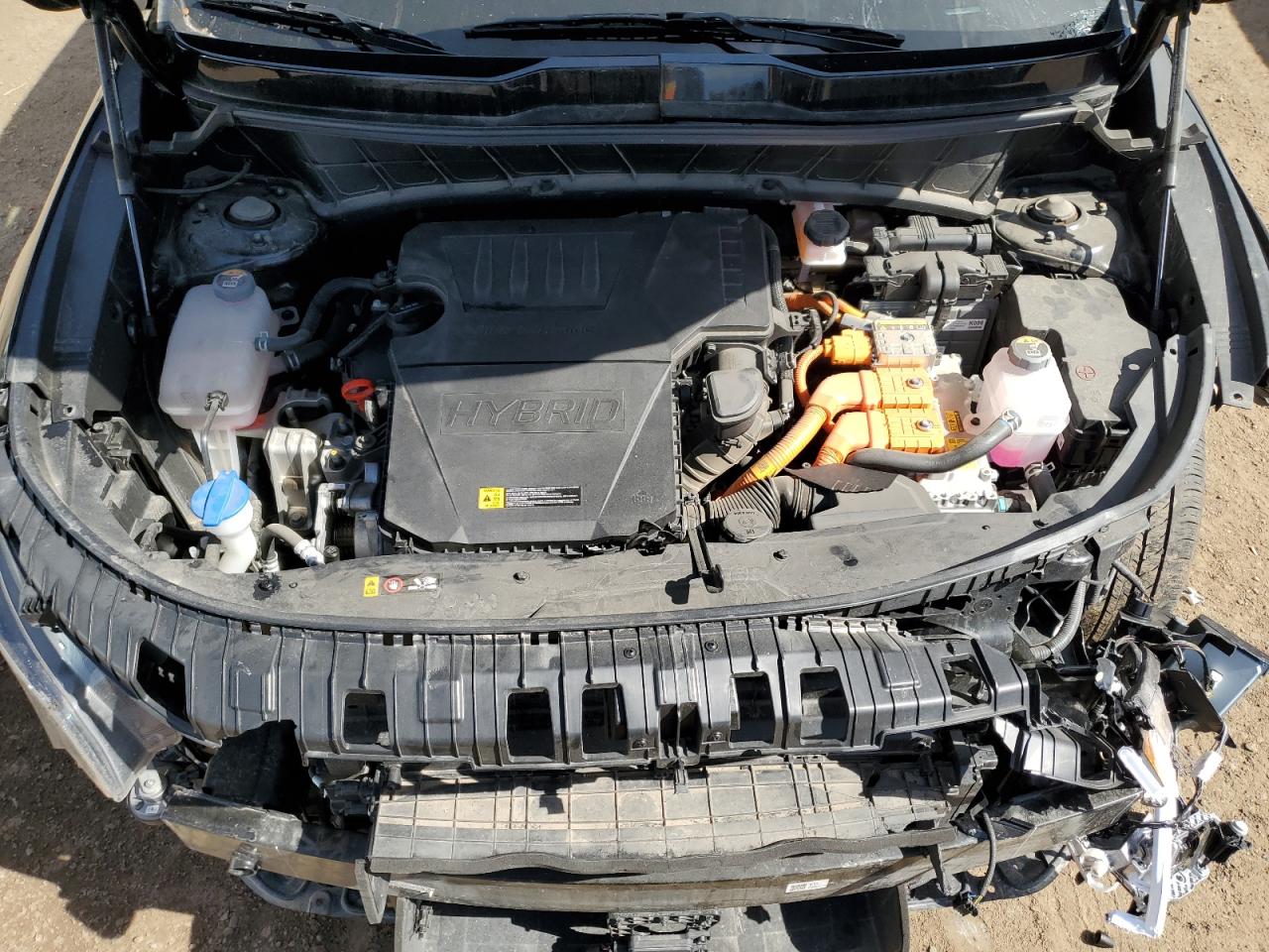 2023 Kia Niro Sx VIN: KNDCT3LE8P5093716 Lot: 81799515