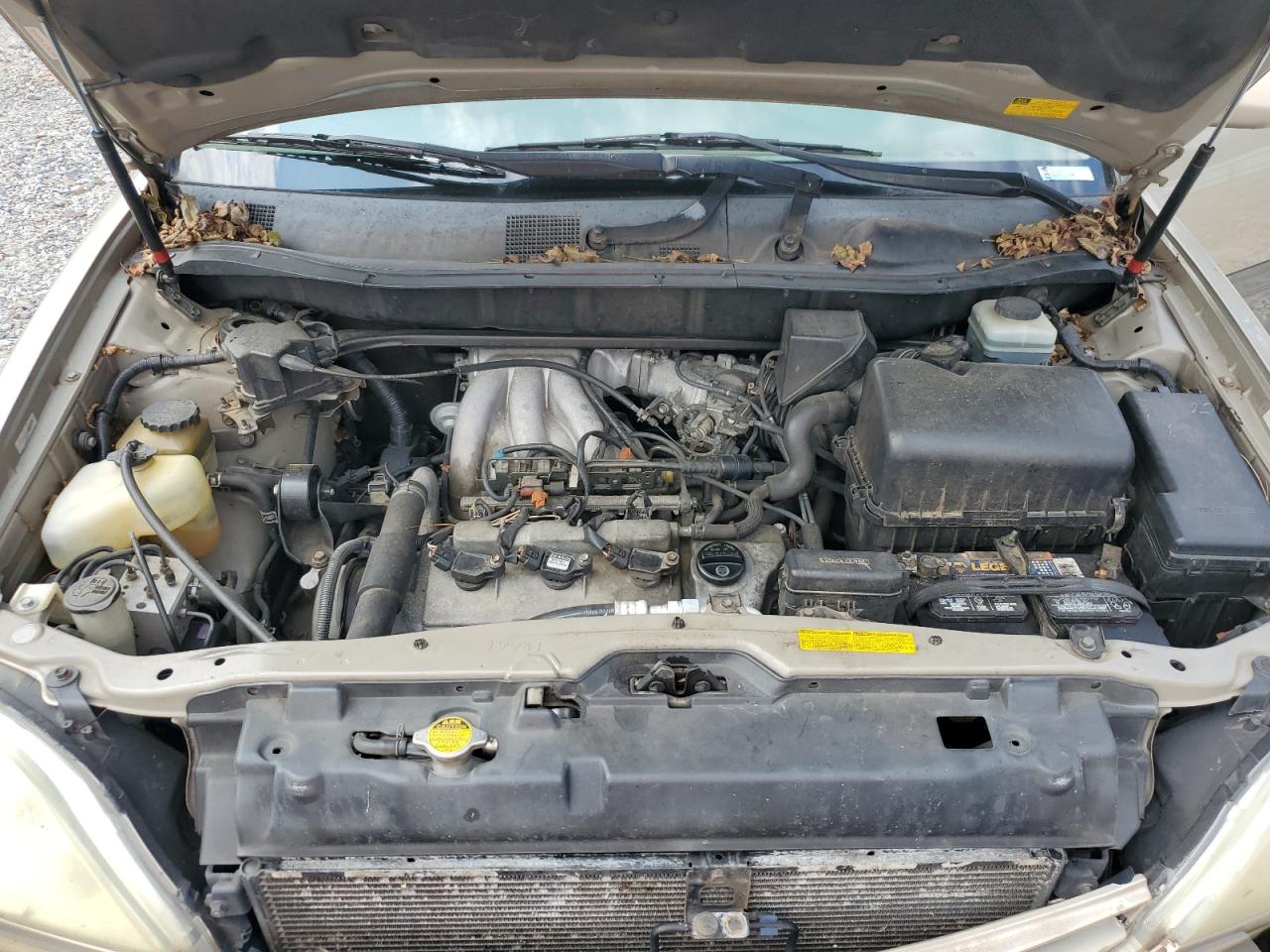 2002 Lexus Rx 300 VIN: JTJGF10U020143603 Lot: 71621335