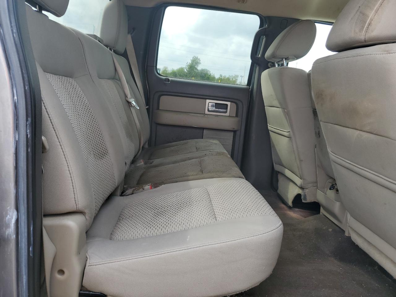 2010 Ford F150 Supercrew VIN: 1FTFW1EV0AFB79724 Lot: 81489655