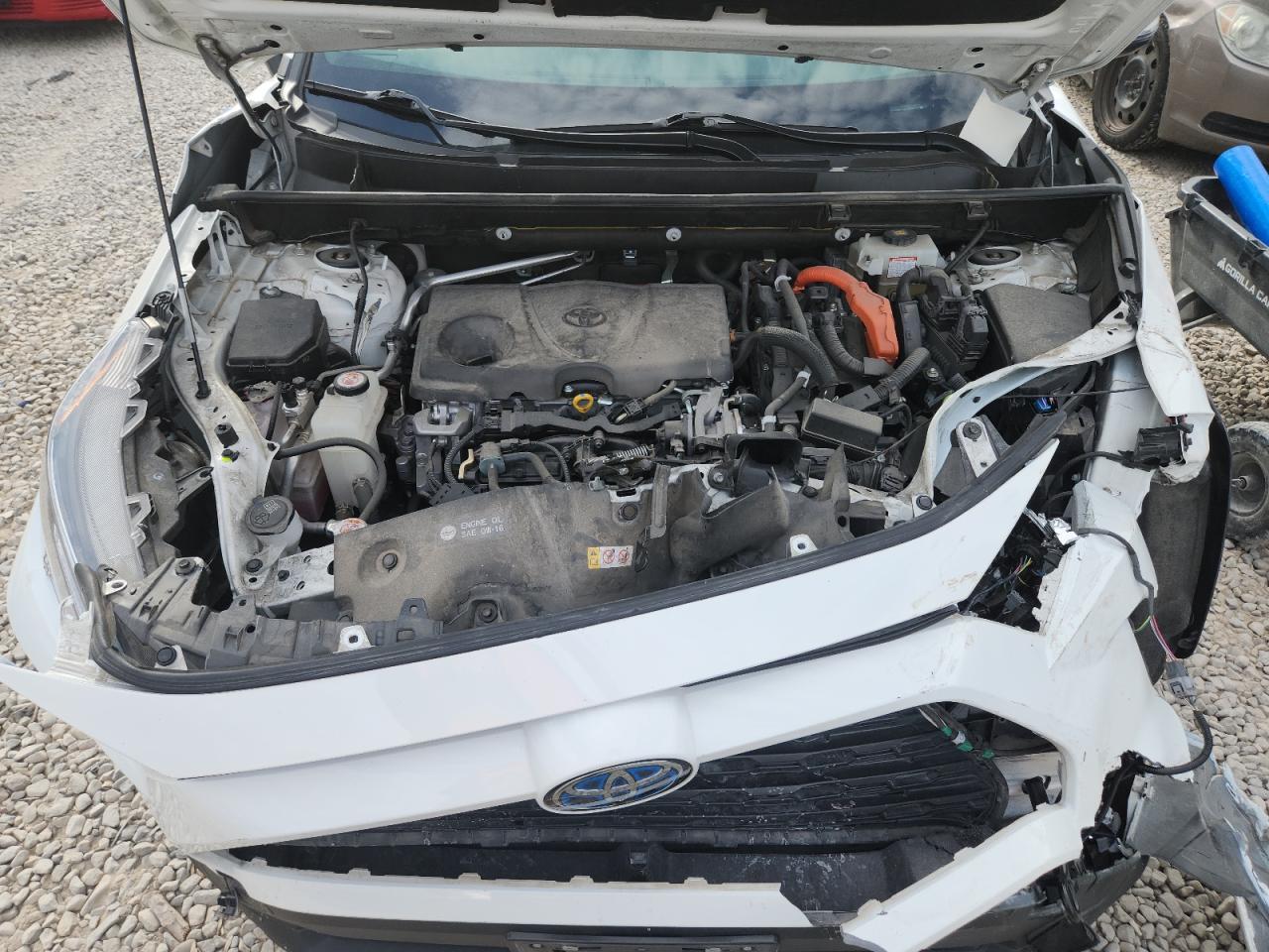 2020 Toyota Rav4 Xle VIN: JTMRWRFV2LD068052 Lot: 81695405