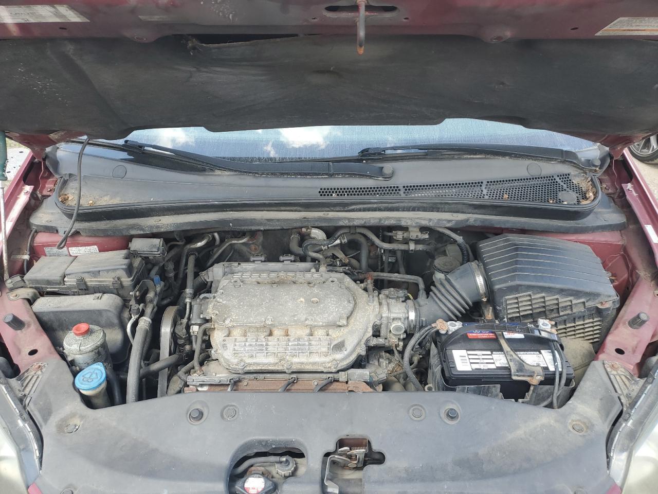 2006 Honda Odyssey Touring VIN: 5FNRL38896B100487 Lot: 68879315