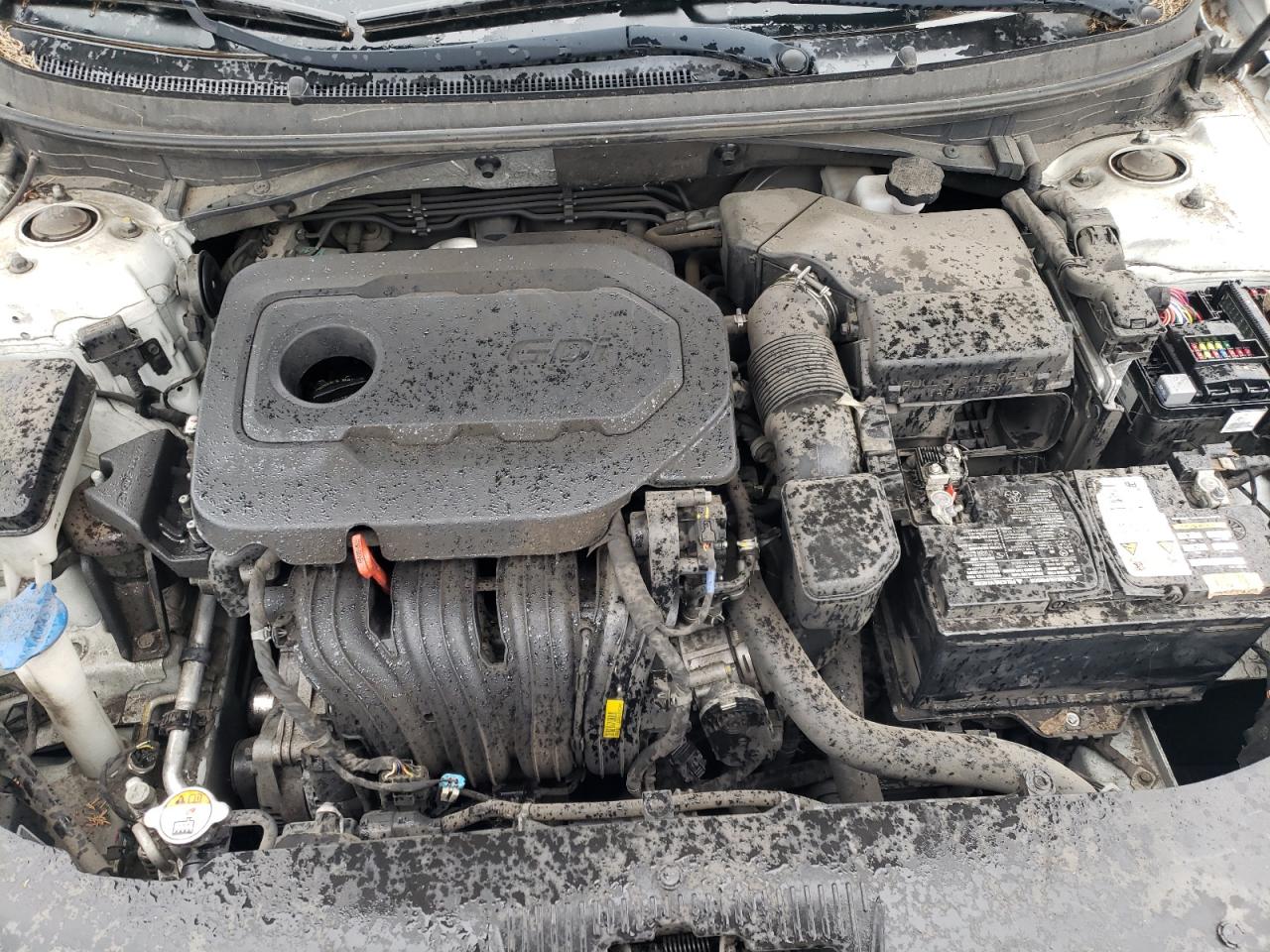 2016 Hyundai Sonata Se VIN: 5NPE24AF2GH396066 Lot: 84938305