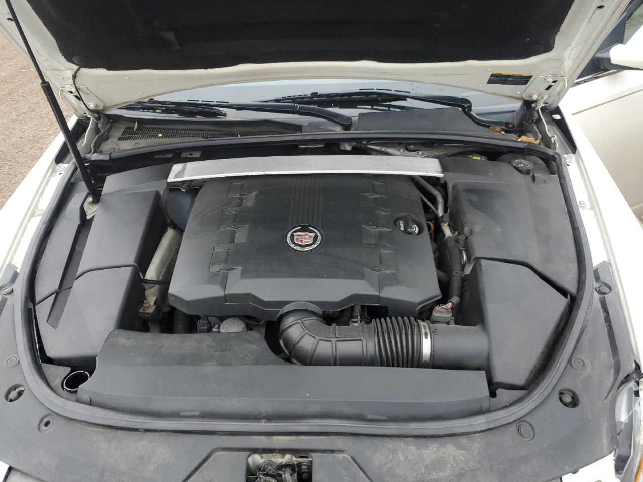 2010 Cadillac Cts Performance Collection VIN: 1G6DK8EG2A0126638 Lot: 81756775