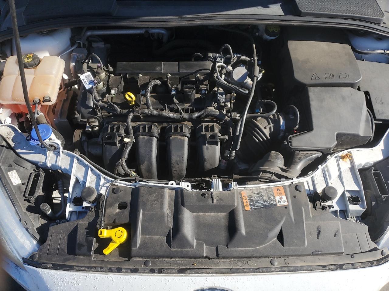 2016 Ford Focus VIN: 1FADP3F26GL373503 Lot: 81773025