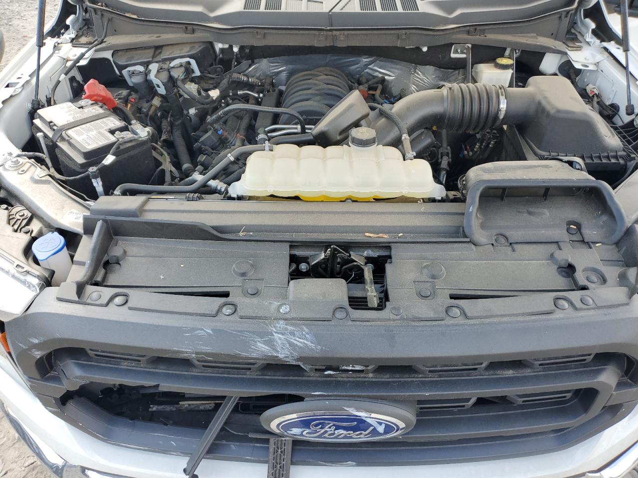 2023 Ford F150 Super Cab VIN: 1FTFX1E58PKG01607 Lot: 81206975