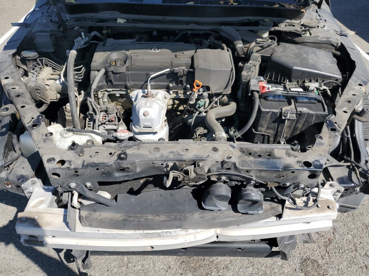 2017 Acura Tlx VIN: 19UUB1F38HA000984 Lot: 80511075