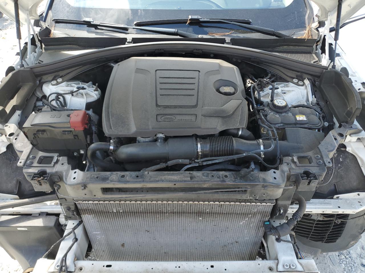 2019 Land Rover Range Rover Velar S VIN: SALYB2EX8KA795626 Lot: 81634995