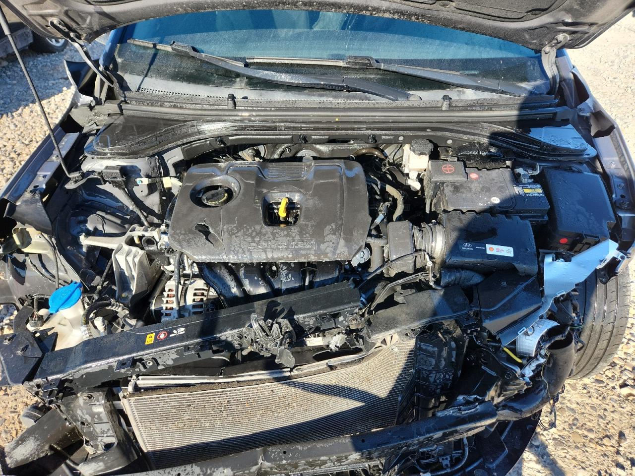 2019 Hyundai Elantra Sel VIN: KMHD84LF4KU878250 Lot: 80951605